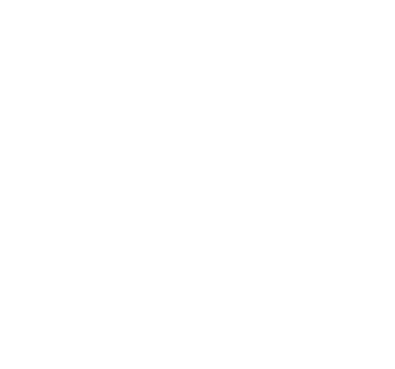 Majestic Clean